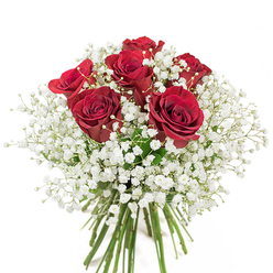 This exquisite hand-tied bouquet showcases the meticulous artistry found in Beaconsfield's celebrated florists, featuring six lush crimson red roses surrounded by an ethereal wreath of pure white baby's breath. The roses-a vision of passion and devotion-stand proudly, their velvety petals gently unfurling to reveal intricate layers and inviting a sense of warmth into any space. Beneath and around these blooms, the Gypsophila weaves a dreamy, cloudlike tapestry, its tiny pearl-white blossoms lending softness and depth to the composition. The contrast between the fiery red roses and delicate baby's breath evokes the tranquillity of local green spaces such as Wilton Park, known for their natural beauty and crisp freshness. The stems, cut and bundled with care, remain exposed, offering a glimpse into the bouquet's handcrafted finesse. Designed with both visual appeal and local heritage in mind, this arrangement from Flower Delivery Beaconsfield is ideal for marking anniversaries, birthdays, or cherished moments shared in Beaconsfield's inviting homes. The pristine background amplifies the colours and elegance, ensuring that each flower's natural splendour shines clearly-a floral gesture as refined and heartfelt as the community itself.
